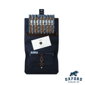 Davidoff Travel Humidor Business Davidoff Travel Humidor Business Open with Cigars