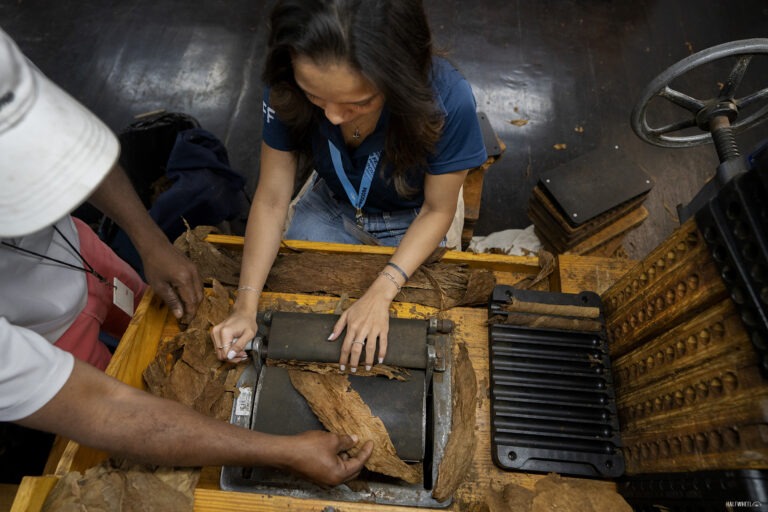 Procigar Partners With Dominican Government For Cigar Workers School Procigar 2024 Arnold Andre Cigar Rolling demonstration 768x512 eINiZJ