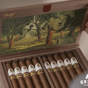 Davidoff Winston Churchill Limited Edition 2025 WINSTON CHURCHILL LIMITED EDITION 2025 Box Open