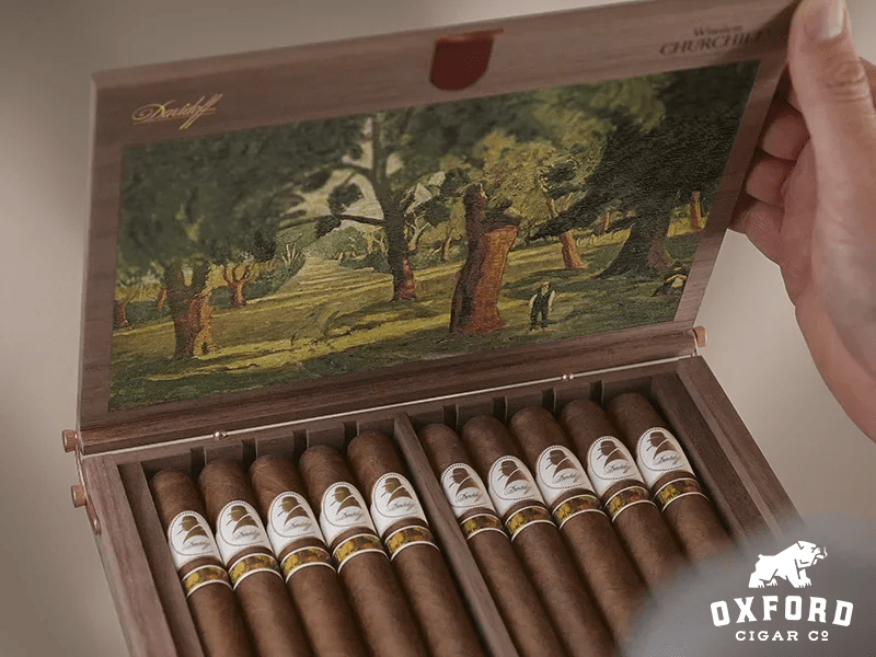 Davidoff Winston Churchill Limited Edition 2025 Davidoff Winston Churchill Limited Edition 2025 - Image 2