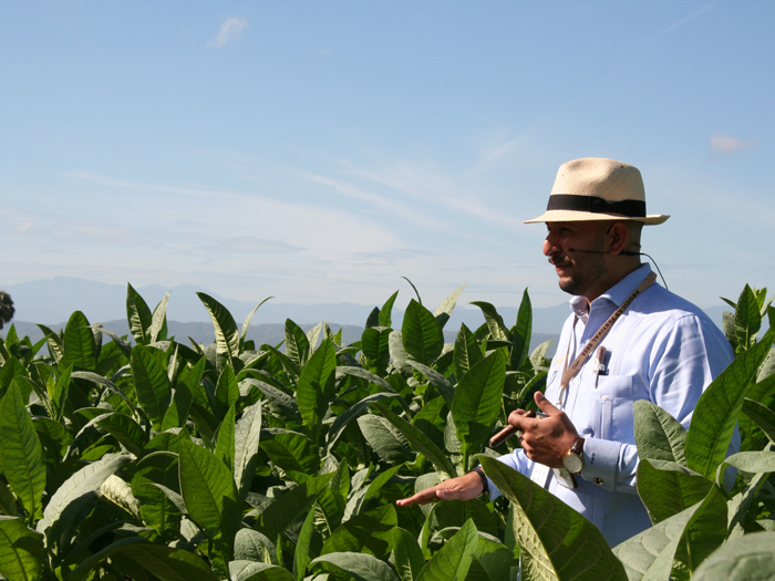 Procigarday 2 | Rice, Milk And Ash Pedro BllWPD