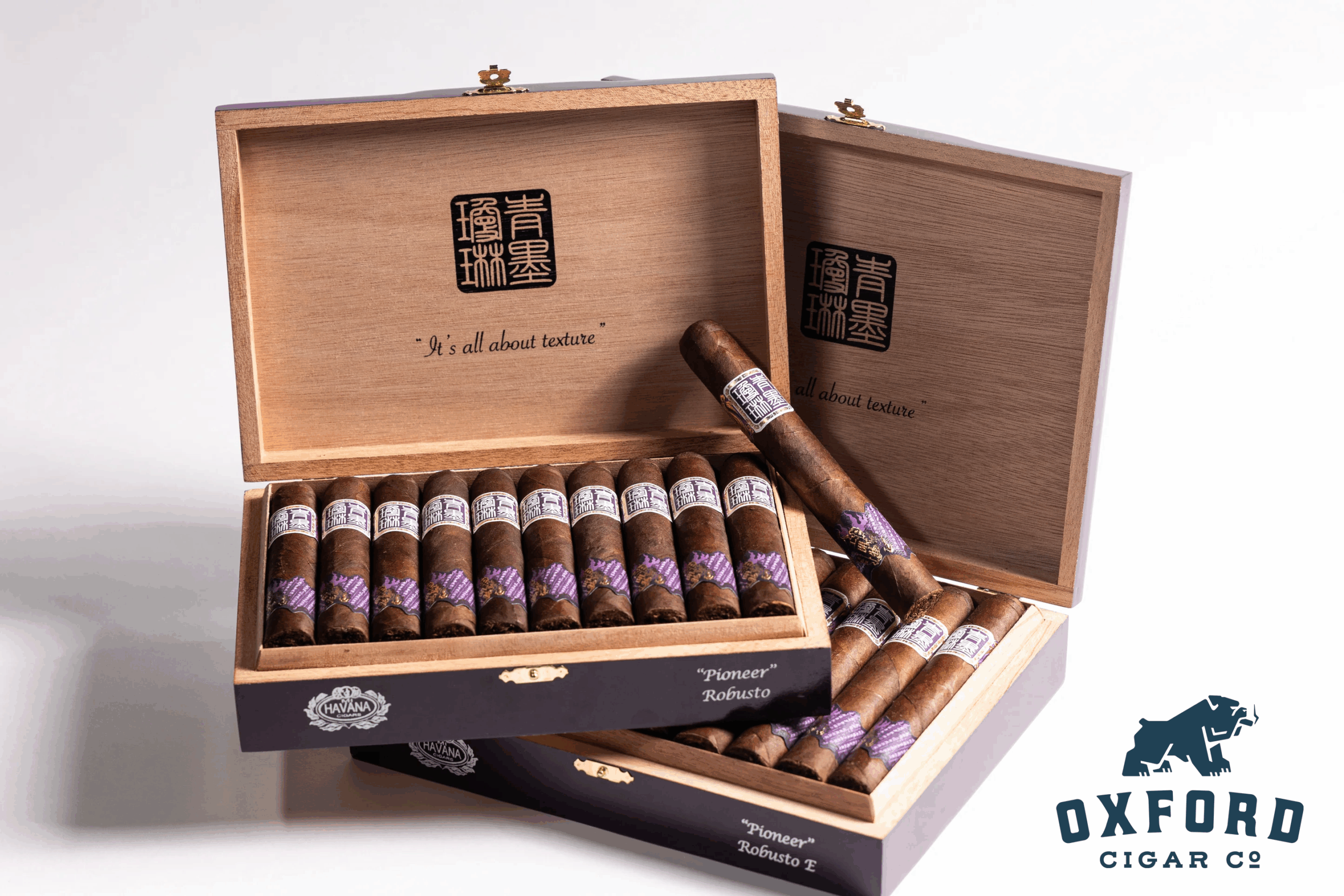 Chimolly Pioneer ChiMolly Pioneer