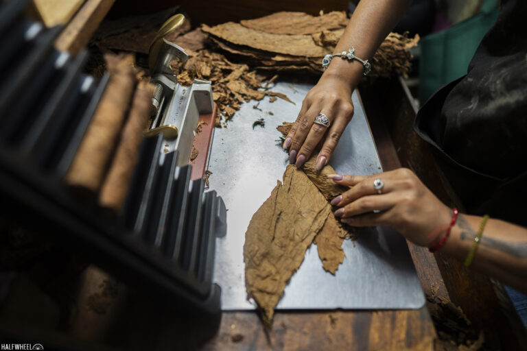 Report: Cigar Imports Start 2025 Down Nearly 9 Percent Festival del Habano XXV El Laguito 11 768x512 omF7nU