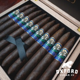 Box of Foundation 10-Year Anniversary Limited Edition 20 Count Chest - Full Bodied Nicaraguan Cigar