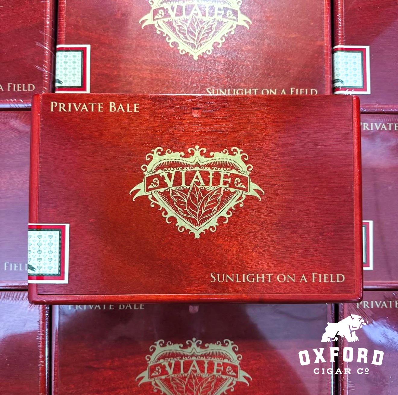 Viaje Sun &Amp; Art Of The Cigar Preferred Retailer Sampler Viaje Sun & Art of the Cigar Preferred Retailer Sampler - Image 3