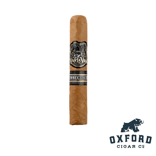 Viva La Vida Connecticut Viva La Vida Connecticut - Image 2