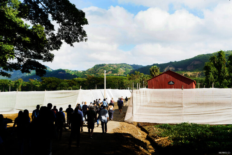 Procigar 2026: Thursday La Aurora Farm Jicome Procigar 2026 768x512