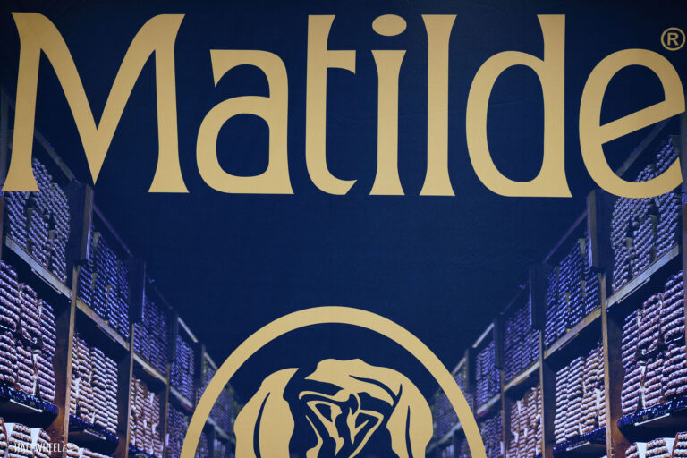 Pca 2026: Matilde Matilde PCA 2026 Feature 768x512 KBOtNZ